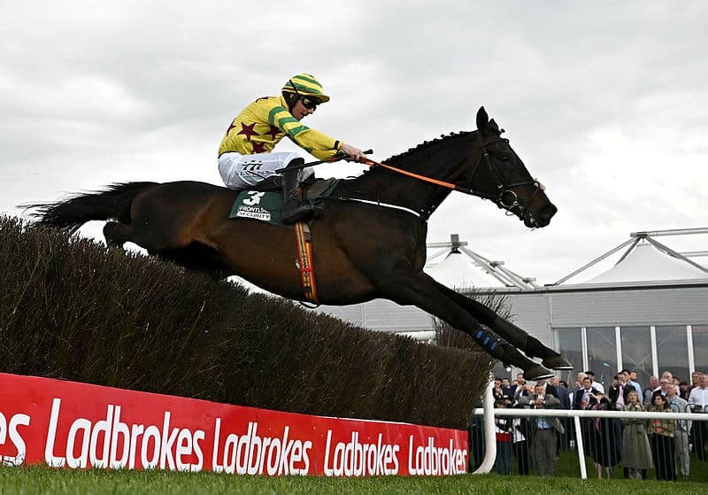 Frontline Security Handicap Chase at Punchestown