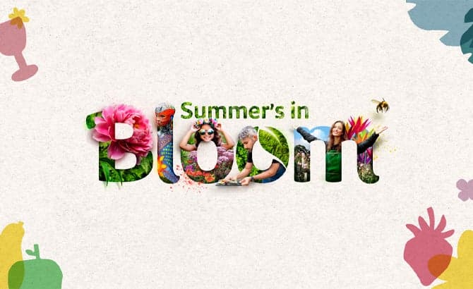 Frontline at Bloom Festival 2025